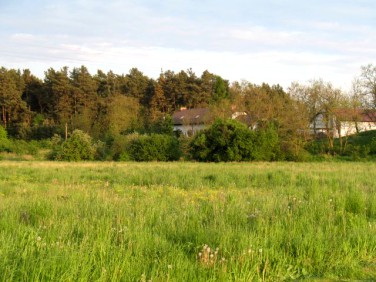 Działka budowlana Ciechocinek