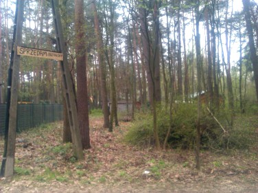 Działka leśna Sokolniki-Las