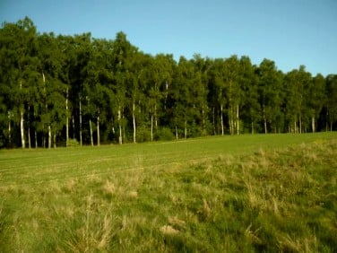 Działka budowlana Stargard Szczeciński