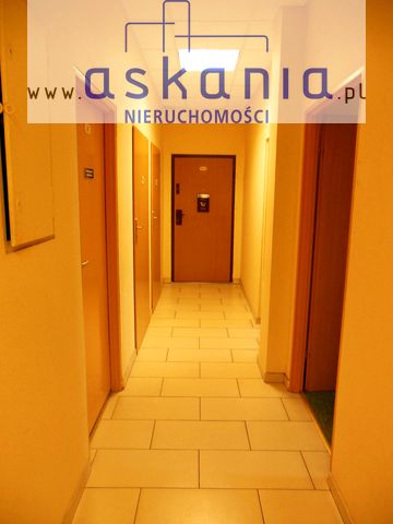 Lokal Opole