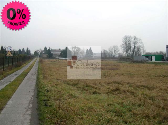 Działka inwestycyjna Michałów-Reginów