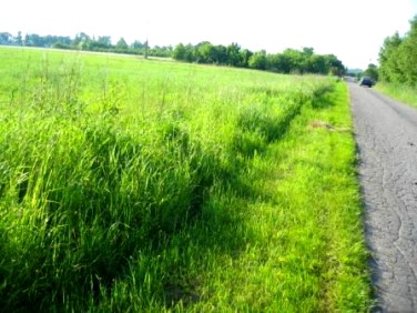 Działka budowlano-rolna Nieborów