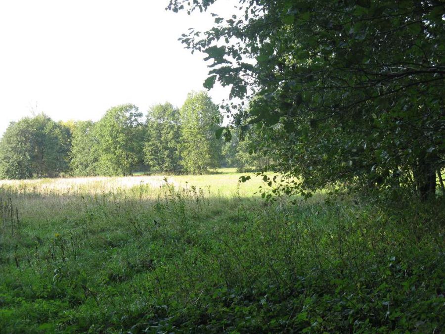 Działka Chwałowice