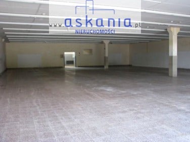 Lokal Opole