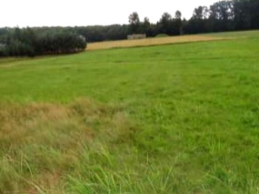 Działka inna Żory