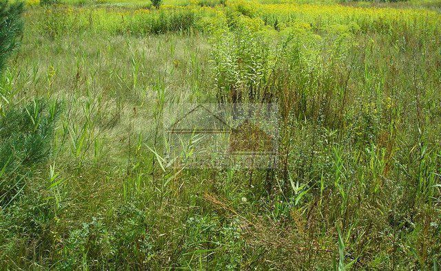 Działka budowlana Warszawa