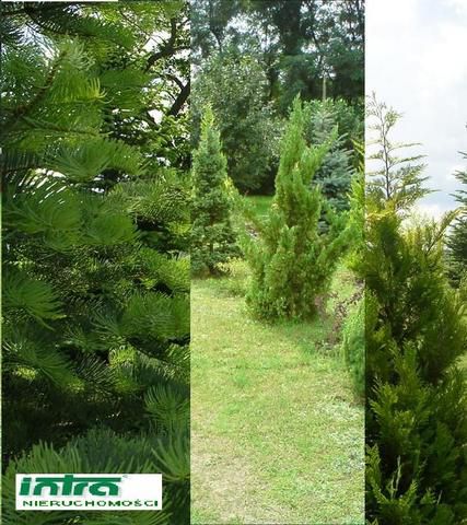 Działka budowlana Warszawa