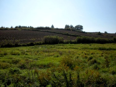 Działka rolna Sułkowice