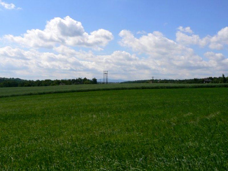 Działka inwestycyjna Hażlach