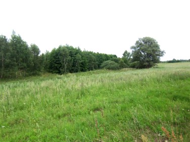Działka rolna Boroszewo