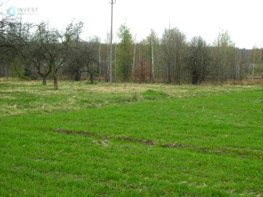 Działka rolna Zaręby