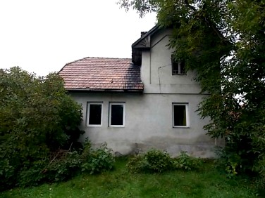 Dom Leśna