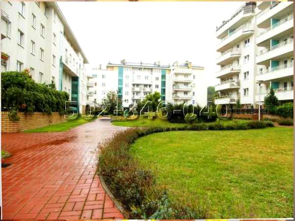 Mieszkanie przy lesie