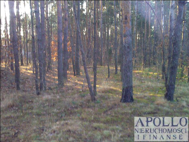 Działka budowlana Warszawa