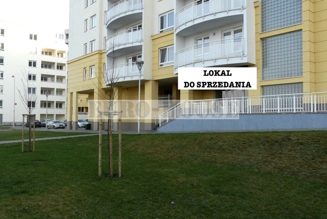 Lokal Warszawa