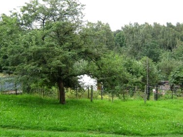 Mieszkanie Boguszów-Gorce sprzedaż