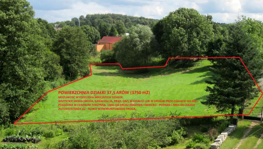 Działka budowlana Torzym