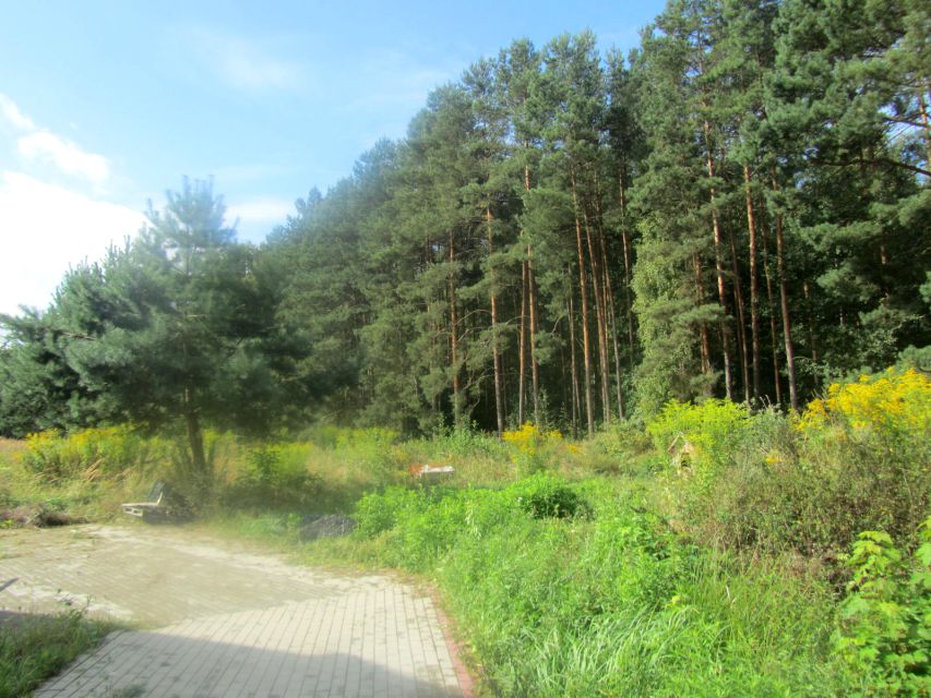 Działka inwestycyjna Buczyny