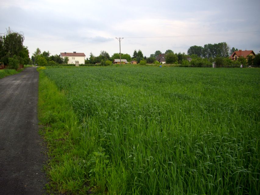 Działka budowlana Zamość