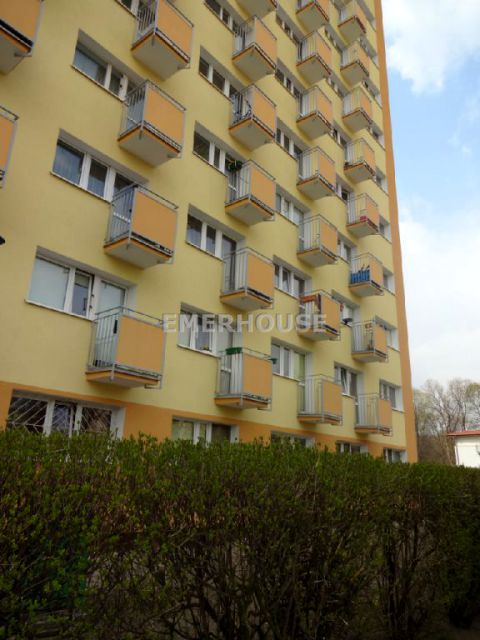 Mieszkanie blok mieszkalny wynajem