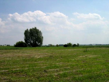 Działka rolna Grodzisk Mazowiecki