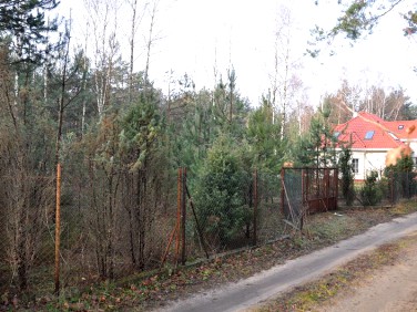 Działka leśna Dąbrowa Chotomowska