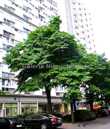Lokal Warszawa wynajem