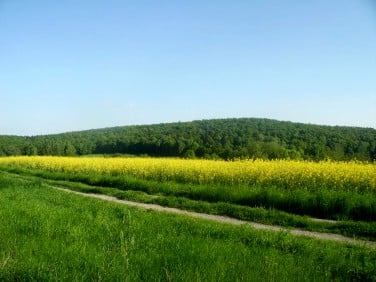 Działka budowlano-rolna Mirkowice