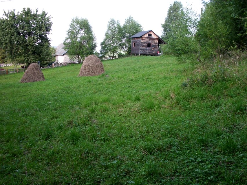 Działka Lesko