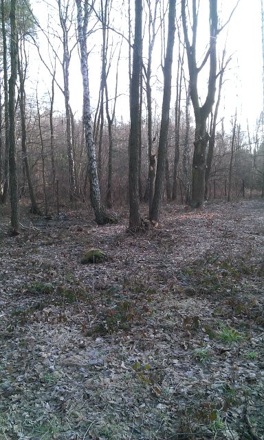 Działka budowlana Wola Karczewska