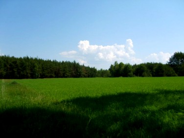 Działka budowlano-rolna Kąty-Miąski