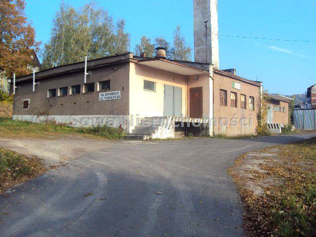 Lokal Jedlina-Zdrój
