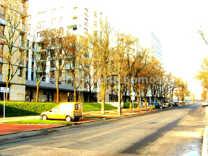 Lokal Warszawa wynajem