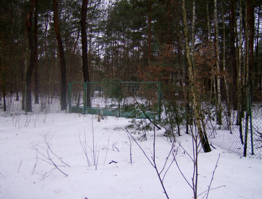 Działka leśna Radziejowice