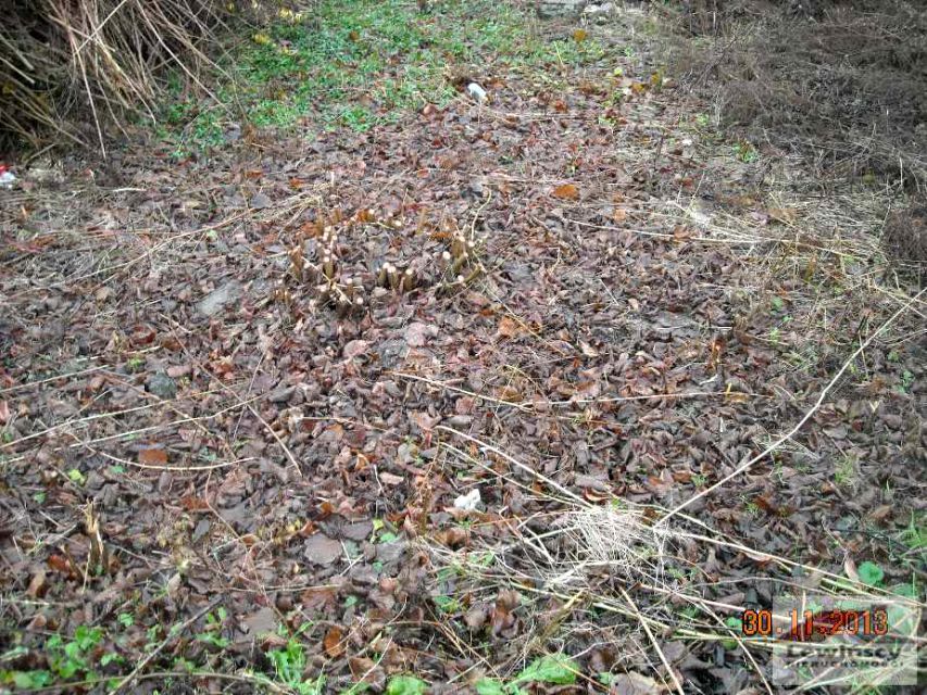 Działka budowlana Warszawa