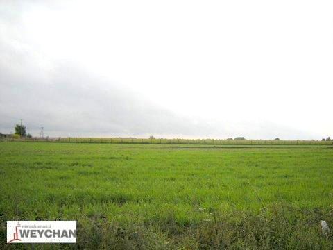 Działka Więckowice