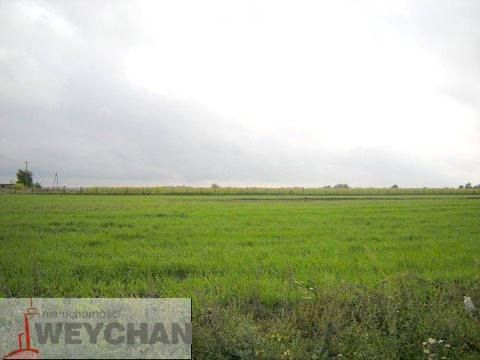 Działka Więckowice