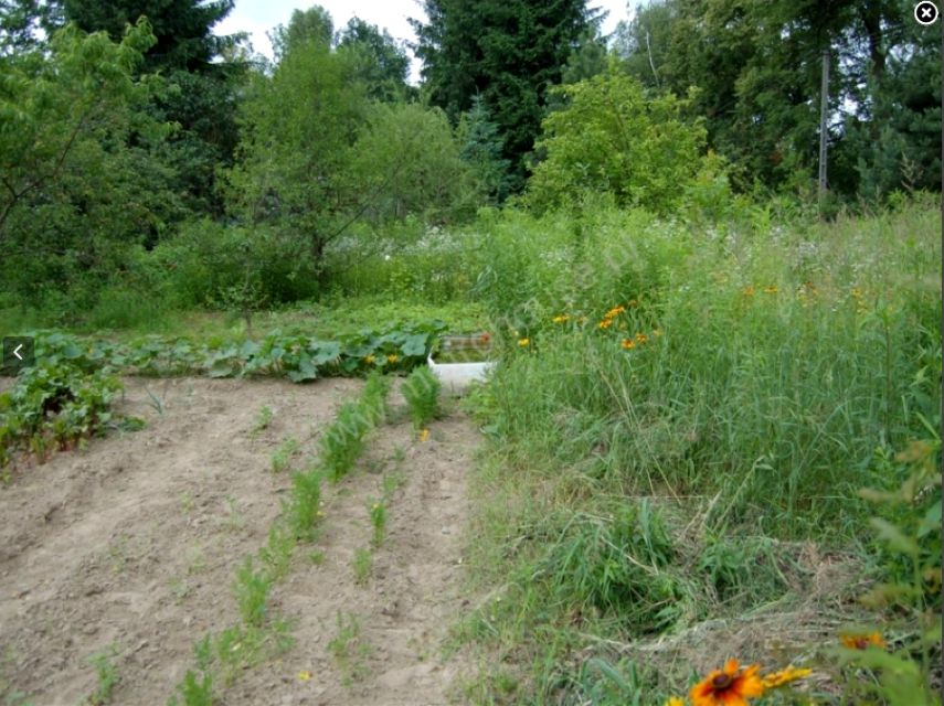 Działka budowlana Otrębusy