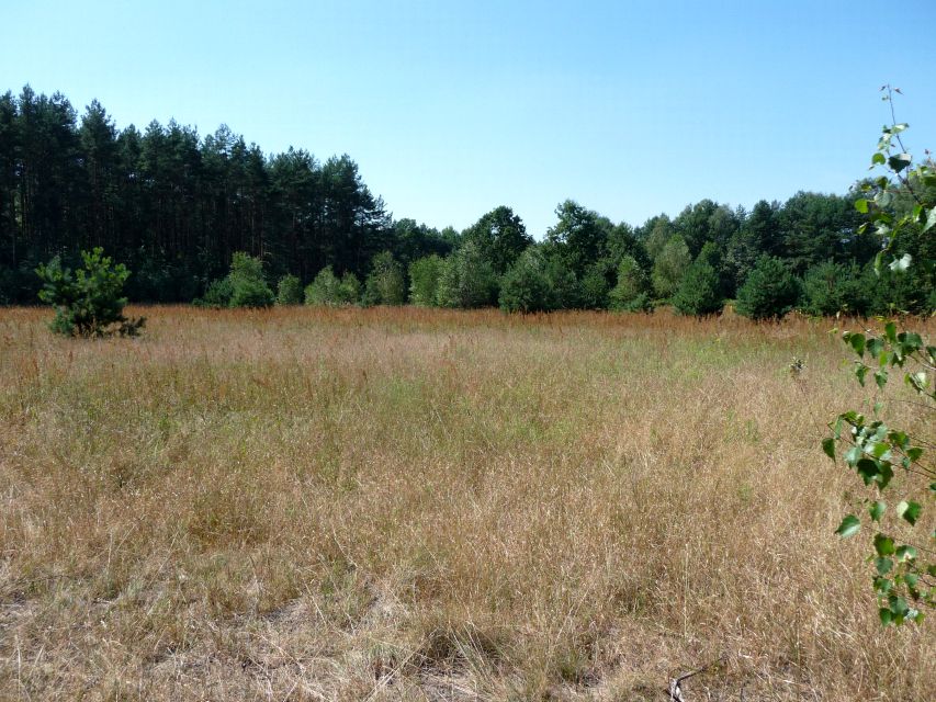 Działka budowlana Koty