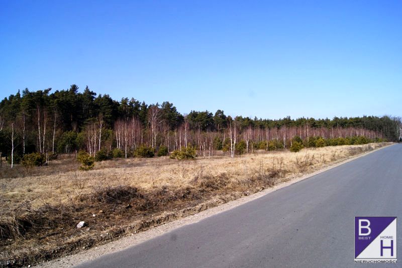 Działka Bąki