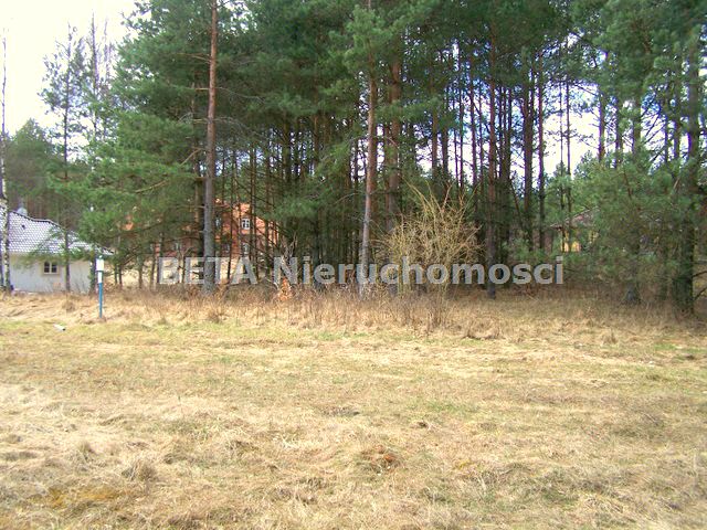 Działka Łupstych
