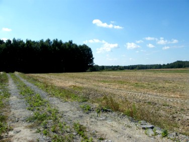 Działka rolna Budziwojowice