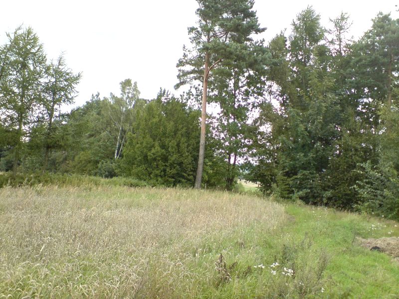 Działka budowlana Kartuzy