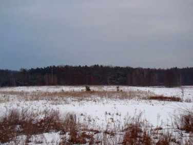 Działka budowlano-rolna Dębno