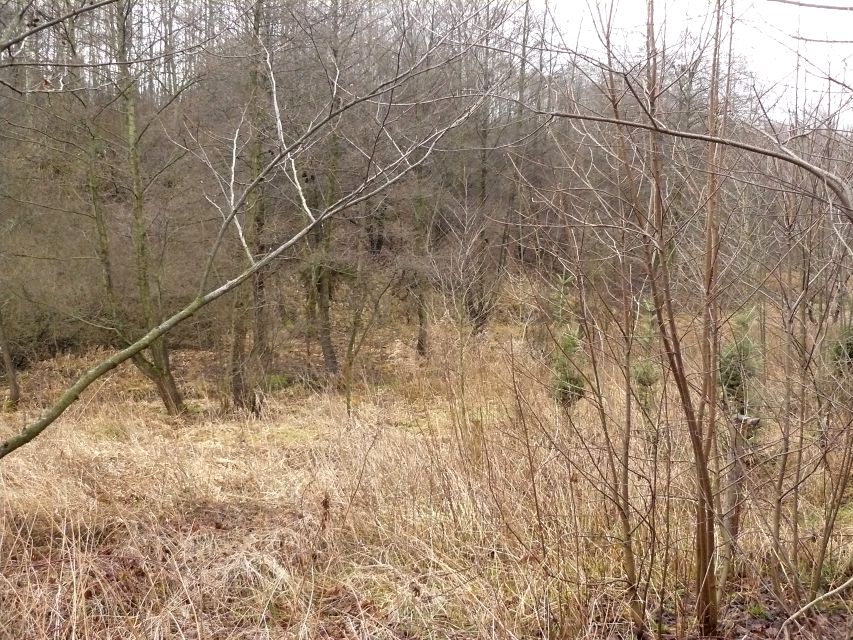 Działka rolna Golkowice