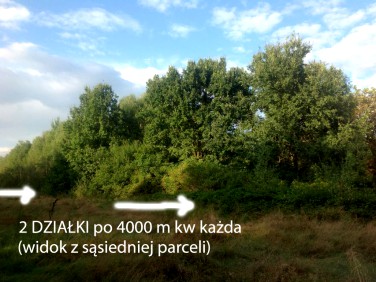 Działka siedliskowa Stanisławów