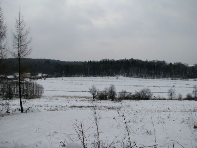 Działka Łazy