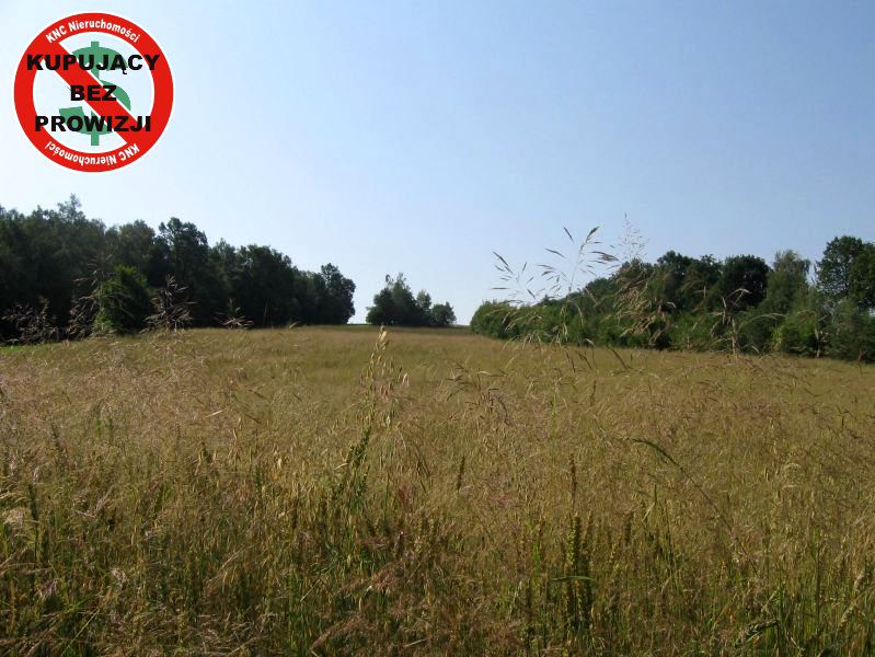 Działka Łazy