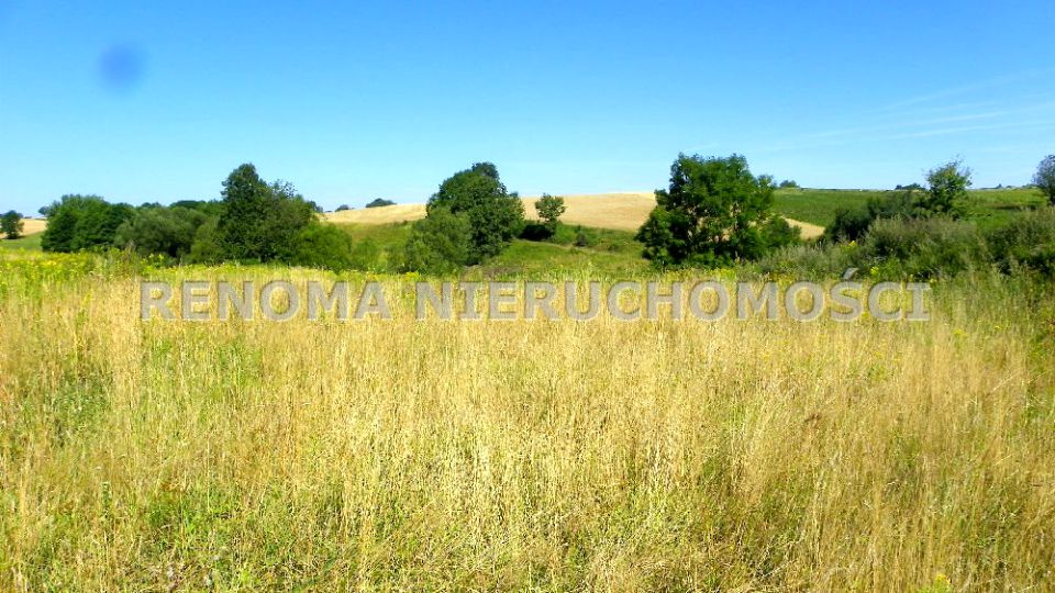 Działka Dziećmorowice